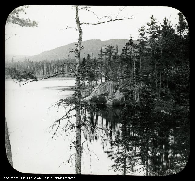 View over Pond